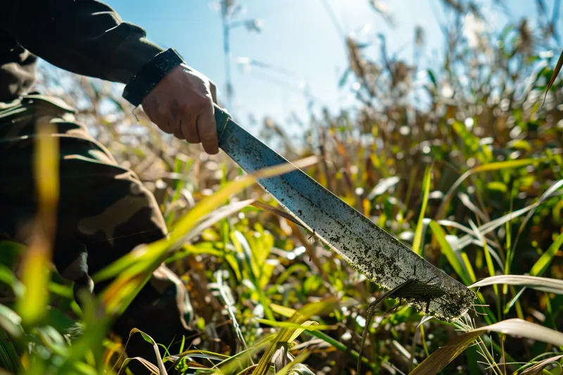 machetes para cortar hierbas altas